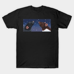 Black and Agouti Hooded Rat Stargazing T-Shirt